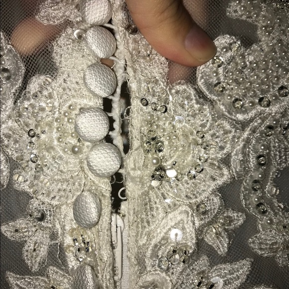 Terry Costa One of a Kind Wedding Dress - Picture 8 of 8